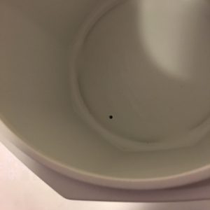 20161130-1-3